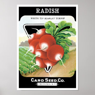Poster Vintage Seed Packet Label Art, Scarlet Radishes