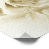 Poster Vintage Shabby Chic Rose Blanche Et Script (Coin)