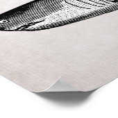 Poster Vintage Shark Beach King (Coin)