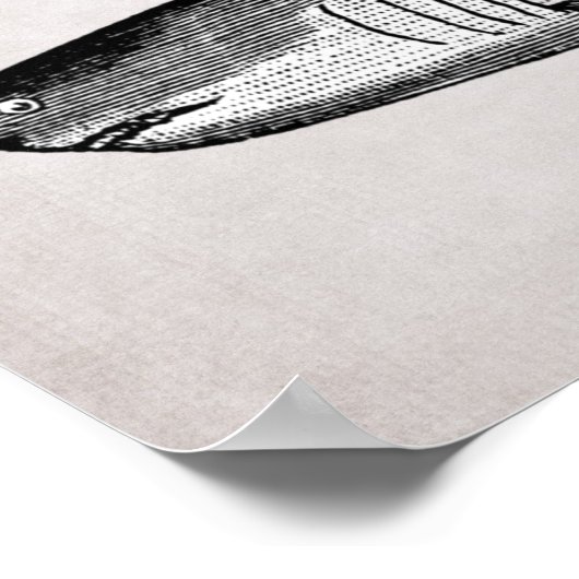 Poster Vintage Shark Beach King (Coin)