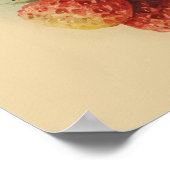 Poster Vintage strawberries (Coin)