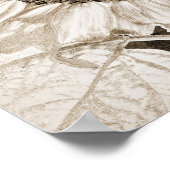 Poster Vintage Sunflower Sepia Art Découpage Brown (Coin)