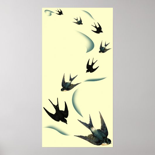 Poster Vintage Swallow Birds Art (Devant)