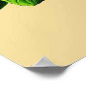 Poster Vintage Sweet Orange (Coin)