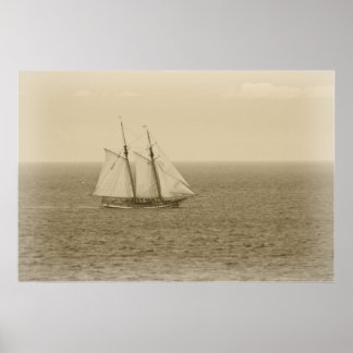 Poster Vintage Swift Sure