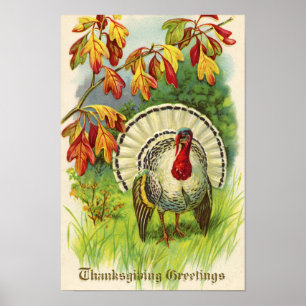 Poster Vintage Thanksgiving Turquie