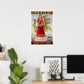 Poster Vintage travel, Mexique (Bureau à domicile)