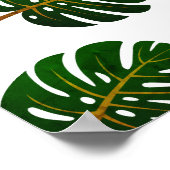 poster vintage tropical Monstera palmier feuilles  (Coin)