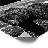 Poster Vintage USA Alaska brun (Coin)