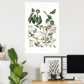 poster vintage vert botanique (Bureau à domicile)