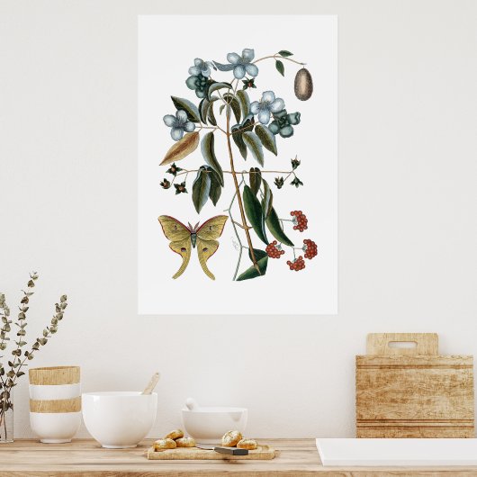 poster vintage vert botanique (Cuisine)