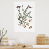 poster vintage vert botanique (Cuisine)