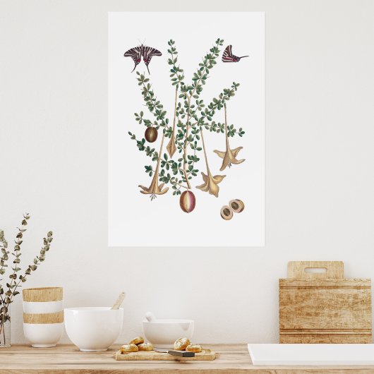 poster vintage vert botanique (Cuisine)