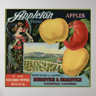 Poster Vintage Vieux Étiquettes de la pomme Fruit