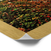 Poster Vintage voyage du Maine (Coin)