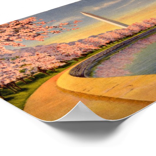 Poster vintage, Washington DC (Coin)