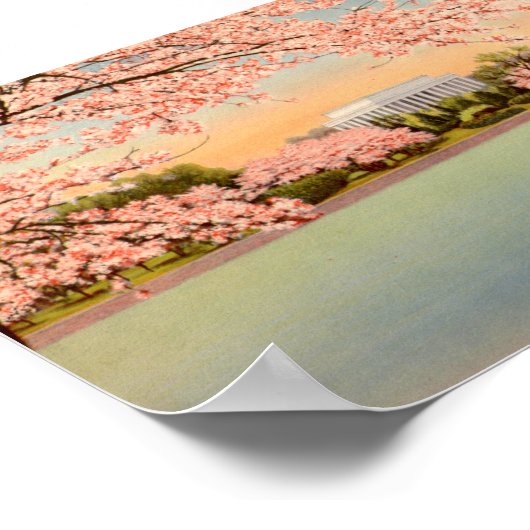 Poster vintage, Washington DC (Coin)