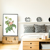 Poster Vintage Wild Rose Botanique Art Imprimable