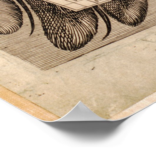 Poster Vintage World Map (Coin)