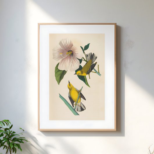 Poster Vintage Yellow Birds On Flower Illustration