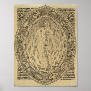 Poster Vintage Zodiac Atrology Chart