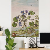 Poster Viola d'art botanique antique (Bureau à domicile)