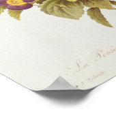 Poster Viola Tricolor (Coin)