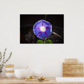 Poster Violet, (Cuisine)