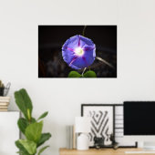 Poster Violet, (Bureau à domicile)