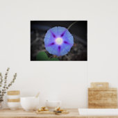 Poster Violet, (Cuisine)