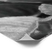 Poster Violet, (Coin)