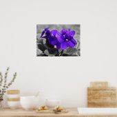 Poster Violet, (Cuisine)