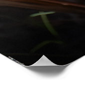 Poster Violet, (Coin)