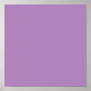 Poster Violet africain (couleur solide)