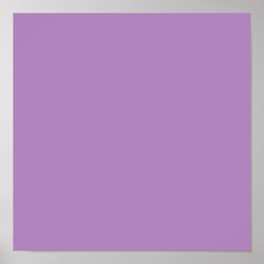 Poster Violet africain (couleur solide) (Devant)