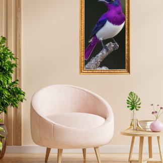 Poster Violet-backed Starling 