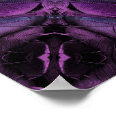 Poster Violet bleu violet couleur noire texture de plume (Coin)