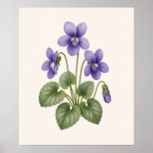 Poster Violet Botanique, Fleur de Naissance de Février (Devant)