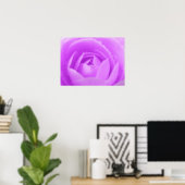 Poster Violet Camellia Imprimer (Bureau à domicile)