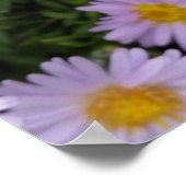 Poster violet clair (Coin)