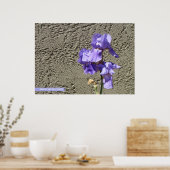 Poster Violet contre le mur (Cuisine)