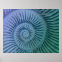 Violet et vert Spiral Ammonite Fossil Art Imprimer