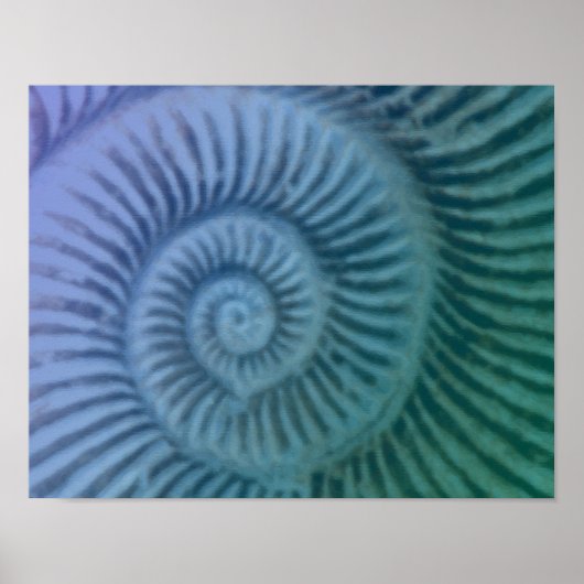 Poster Violet et vert Spiral Ammonite Fossil Art Imprimer (Devant)