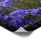 Poster violet Fleur sauvage noir Vignette (Coin)