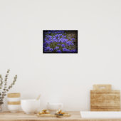 Poster violet Fleur sauvage noir Vignette (Cuisine)