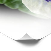 Poster violet foncé sur pensée blanche (Coin)