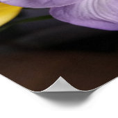 Poster violet freesia (Coin)