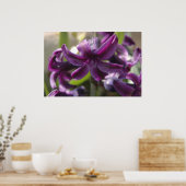 Poster Violet Hyacinthes (Cuisine)