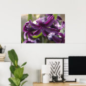 Poster Violet Hyacinthes (Bureau à domicile)