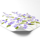 Poster violet violet bleu lilas Nepeta racemosa Walker (Coin)